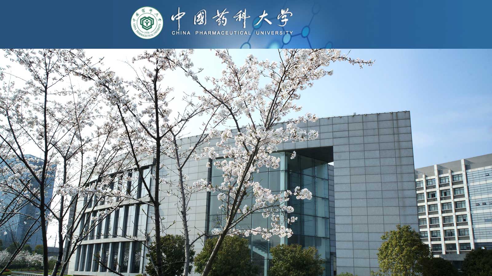 中国药科大学招生简章